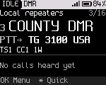 Home screen on a DMR channel